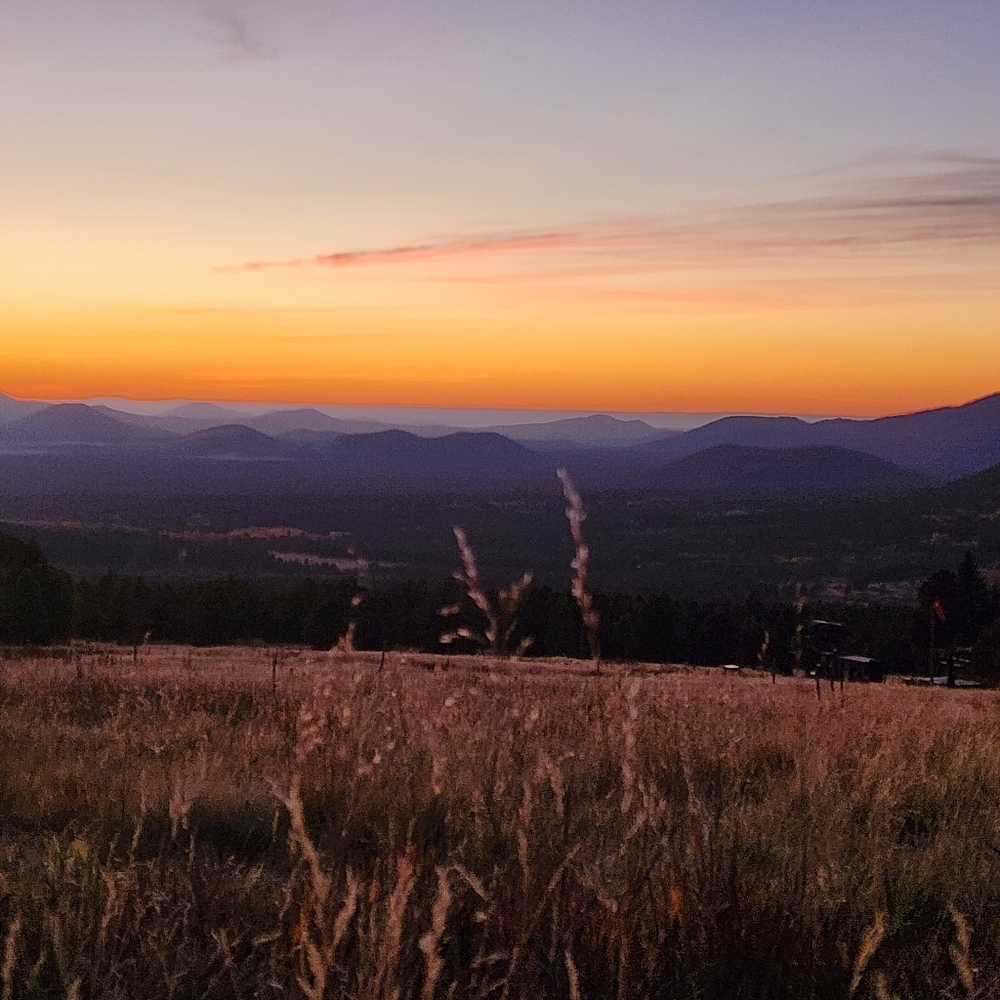 Meet your Posher, Madeleine